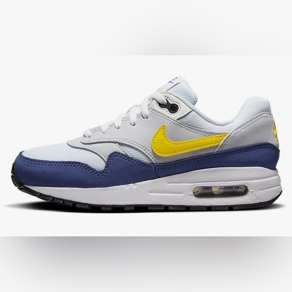 Nike Air Max 1